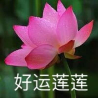 【图集】核酸检测复核均为阴性 上海红房子医院正常开诊